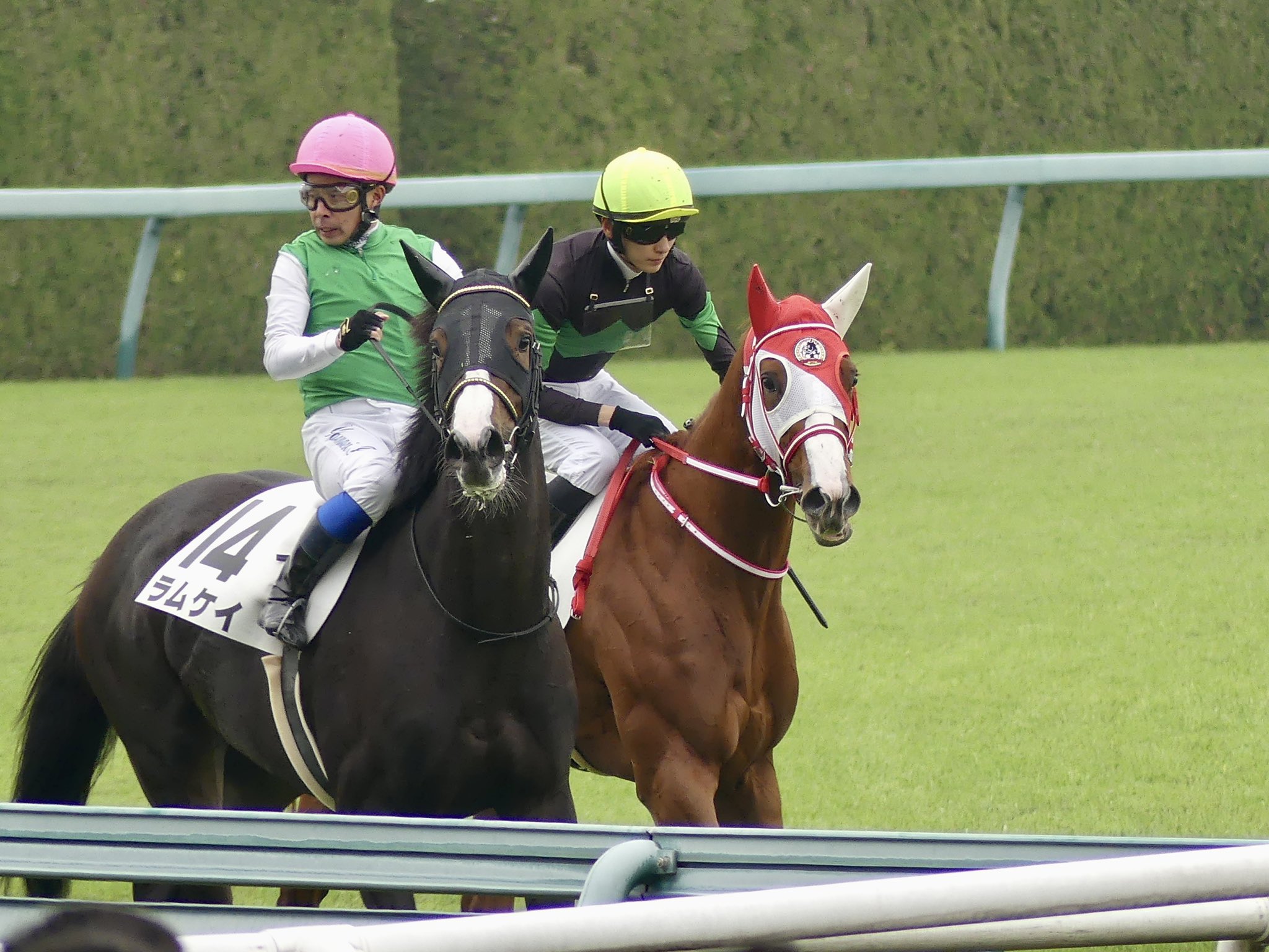 コレクション】第54回桜花賞勝馬オグリローマン 単勝馬券