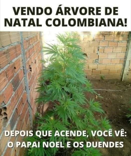 qro uma dessa aqui em casa
