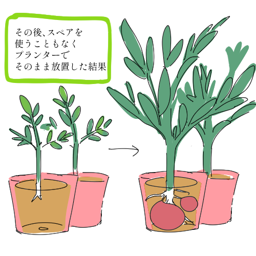 ジャガイモこんな感じで育ててました。
じゃがいもすごい! https://t.co/MWKM4AQWuS 