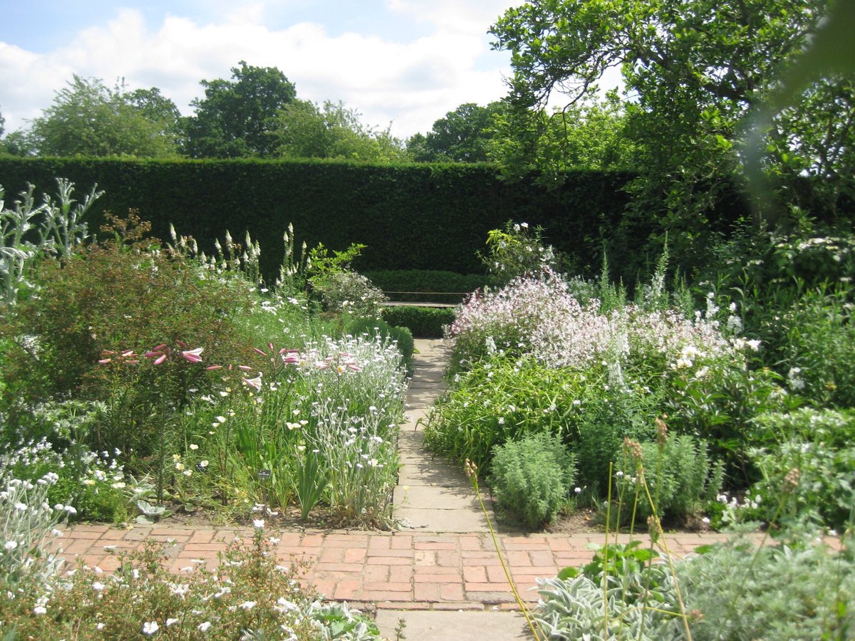 That made guests ask what on earth has been put into them. My answer to this was always simply and monosyllabically, 'Herbs.’ Why don’t the English use more herbs in their concoctions? They are easy to grow, take up little room, and make all the difference theguardian.com/lifeandstyle/2…