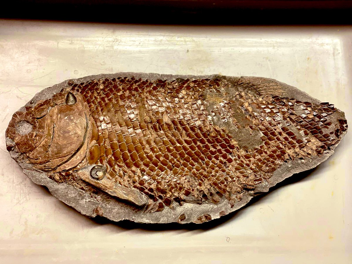 Ben Thuy & Lea Numberger tweet media