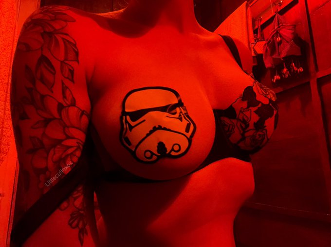 I am a little short for a stormtrooper https://t.co/7xjXCiVDbm<a href="/tag/maythe4thbewithyou"class="tags"><span>#maythe4thbewithyou</span></a>