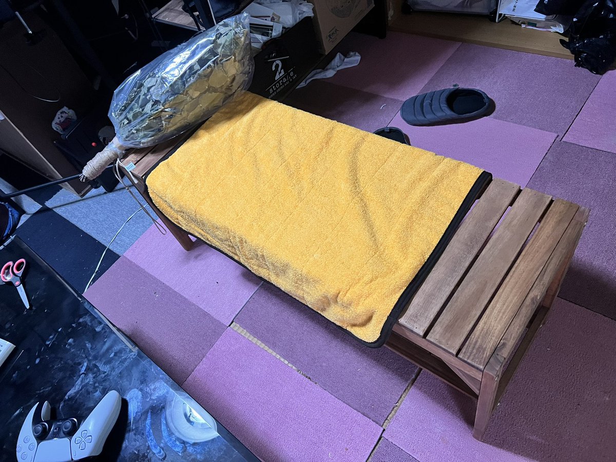 今日は1日家にひきもこって部屋の掃除したり椅子を組み立てたり積み石で遊んだりロウリュウで使えそうなものを考えたりしてました( ˘ω˘ )お風呂入ったら流石にお絵描きします(午後からって言ったやん) 