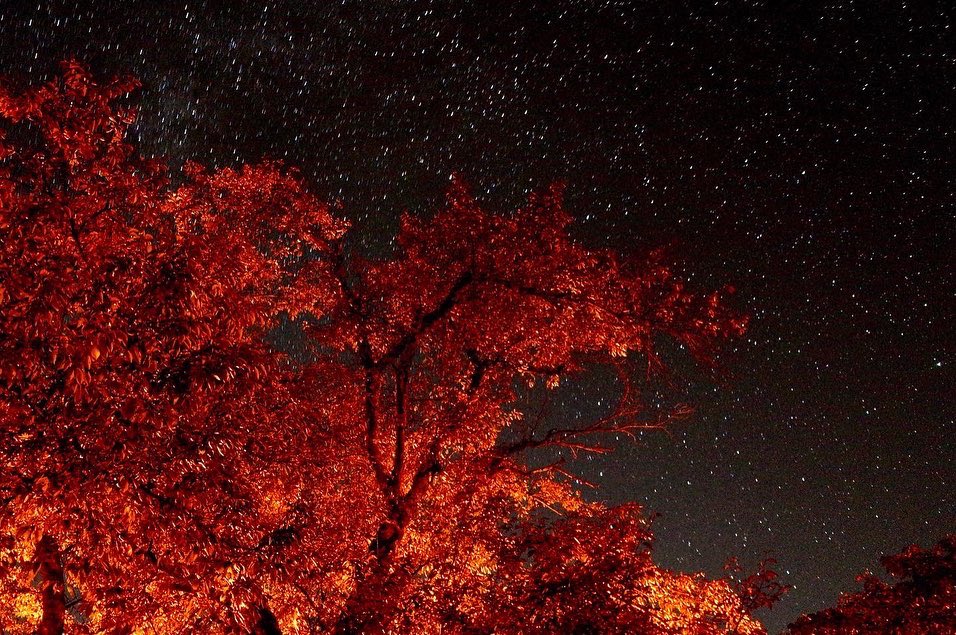 march_hare0000's tweet photo. 白川郷の夜
世界遺産だけじゃない村が最高 https://t.co/J45i9HidZ2