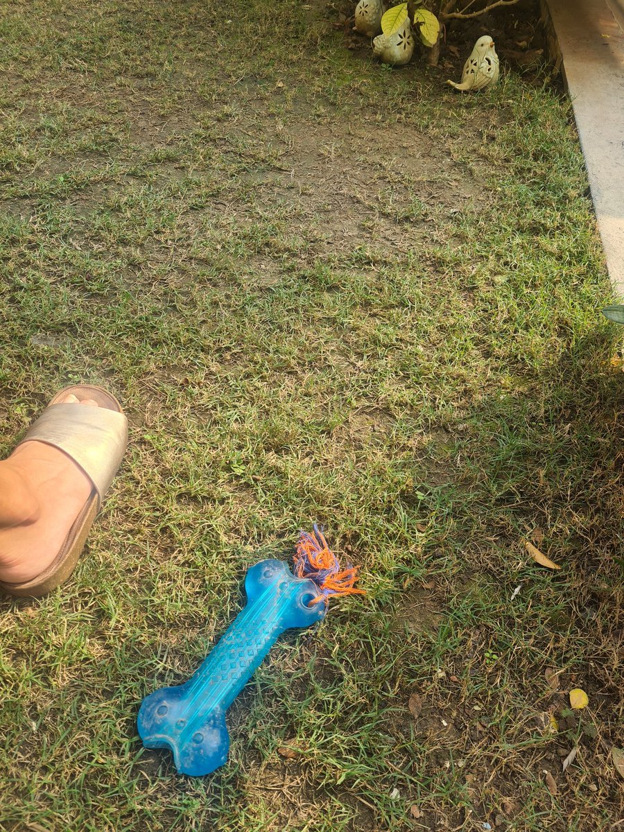 lara_shankar's tweet image. #khilauna ❤️