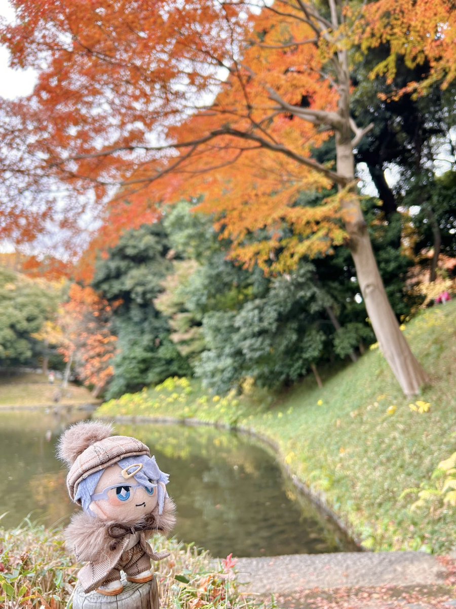 「今年最後の紅葉狩り 都内はまだ紅葉してた今年の秋も楽しかったね(   ◜ω◝ )」|ﾅﾕﾀのイラスト