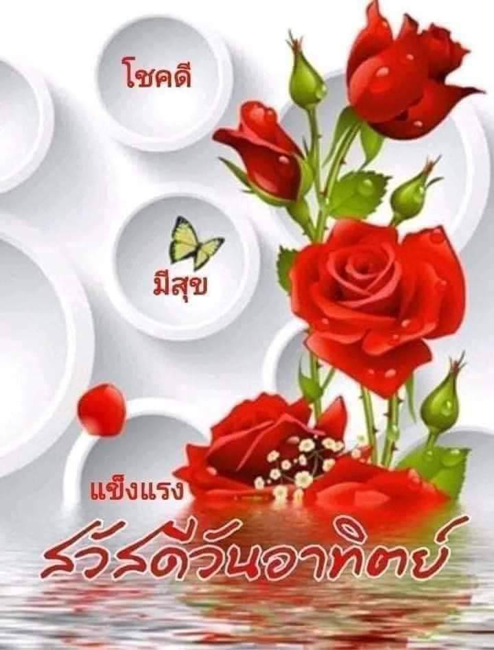 Non45084161's tweet photo. @lovethaipolice https://t.co/mspWD3DEWI