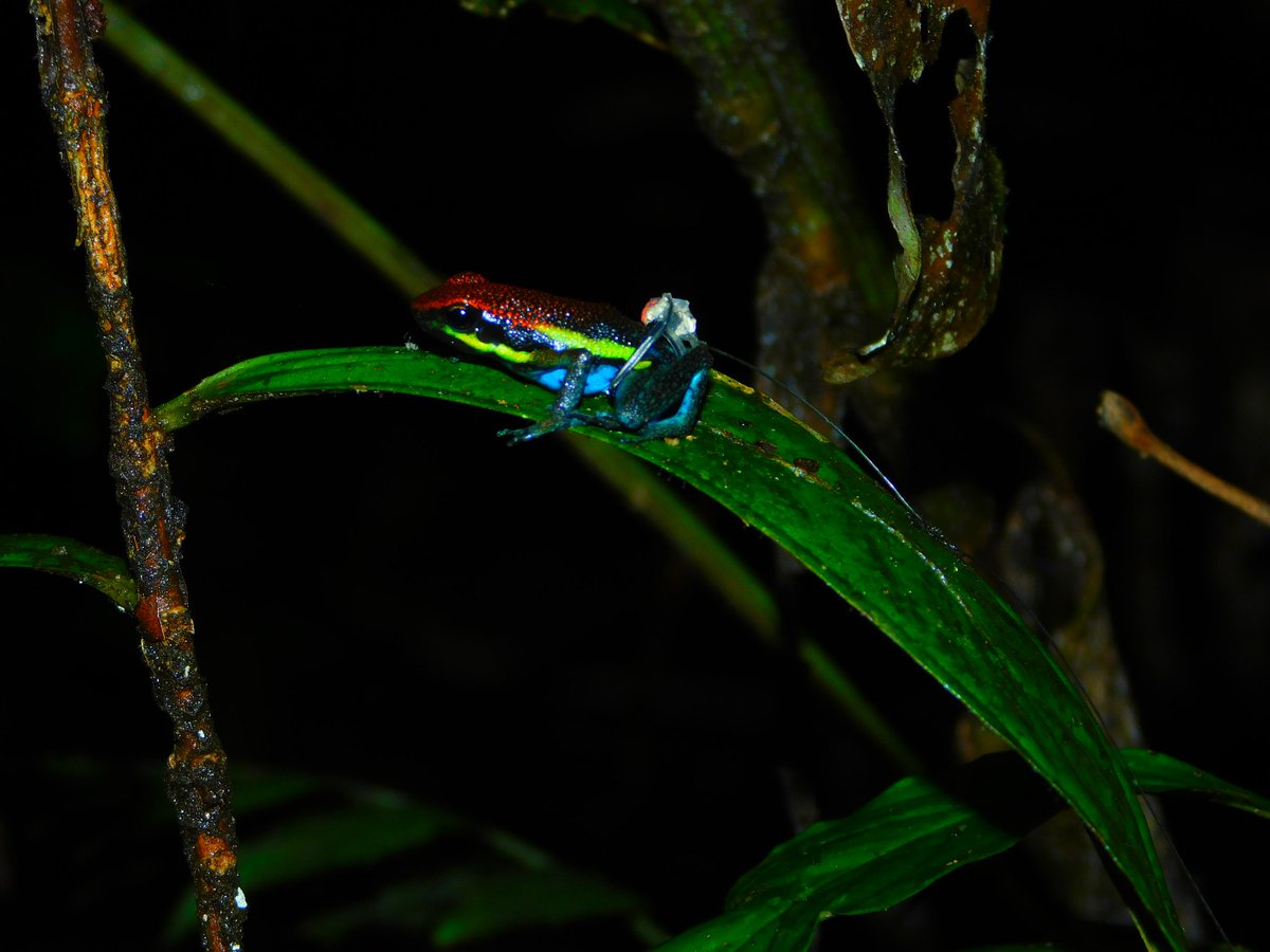 JenniFrog25 tweet picture