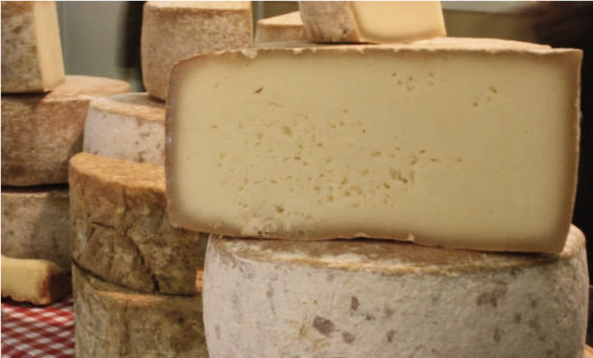 ReseauPremium's tweet photo. 𝐌𝐚𝐢𝐬𝐨𝐧 𝐒𝐞𝐫𝐯𝐚𝐭 (fromagerie) et 𝐃𝐢𝐯𝐞𝐧𝐛𝐚 (services événementiels) font partie de nos partenaires pour l'édition 2022 de la soirée gala du Réseau Premium.
🗒 𝟏𝟓 𝐝é𝐜𝐞𝐦𝐛𝐫𝐞 𝟐𝟎𝟐𝟐
🕘𝟐𝟎𝐇
➡️https://t.co/6Gw7DzSVwQ https://t.co/qViw8g0mbk