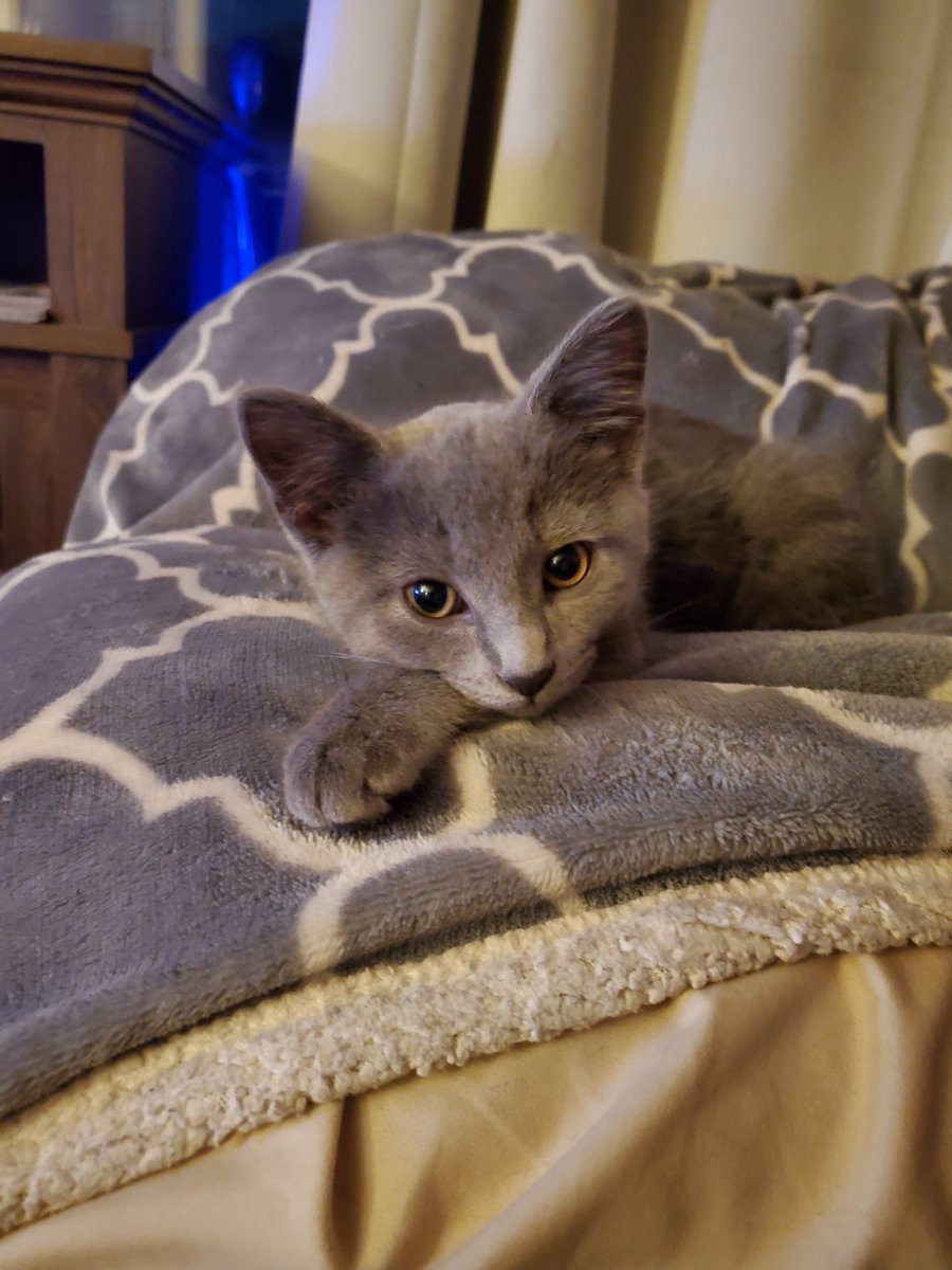 CHRISTIANS are making a comeback! GOD IS AMAZING! Thank you Jesus! #GodIsGreat