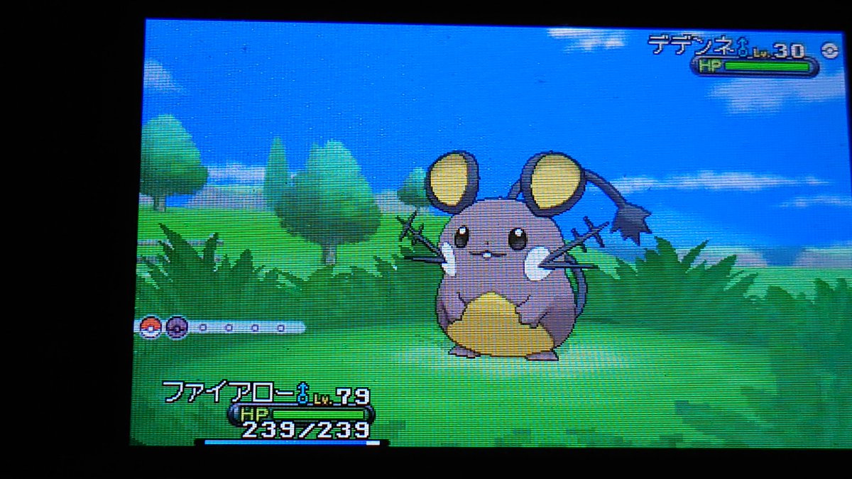 ムーン 配布ポケモン 色違い野生ポケモン育成済み Lv100 合計600体以上 Freshslice Com