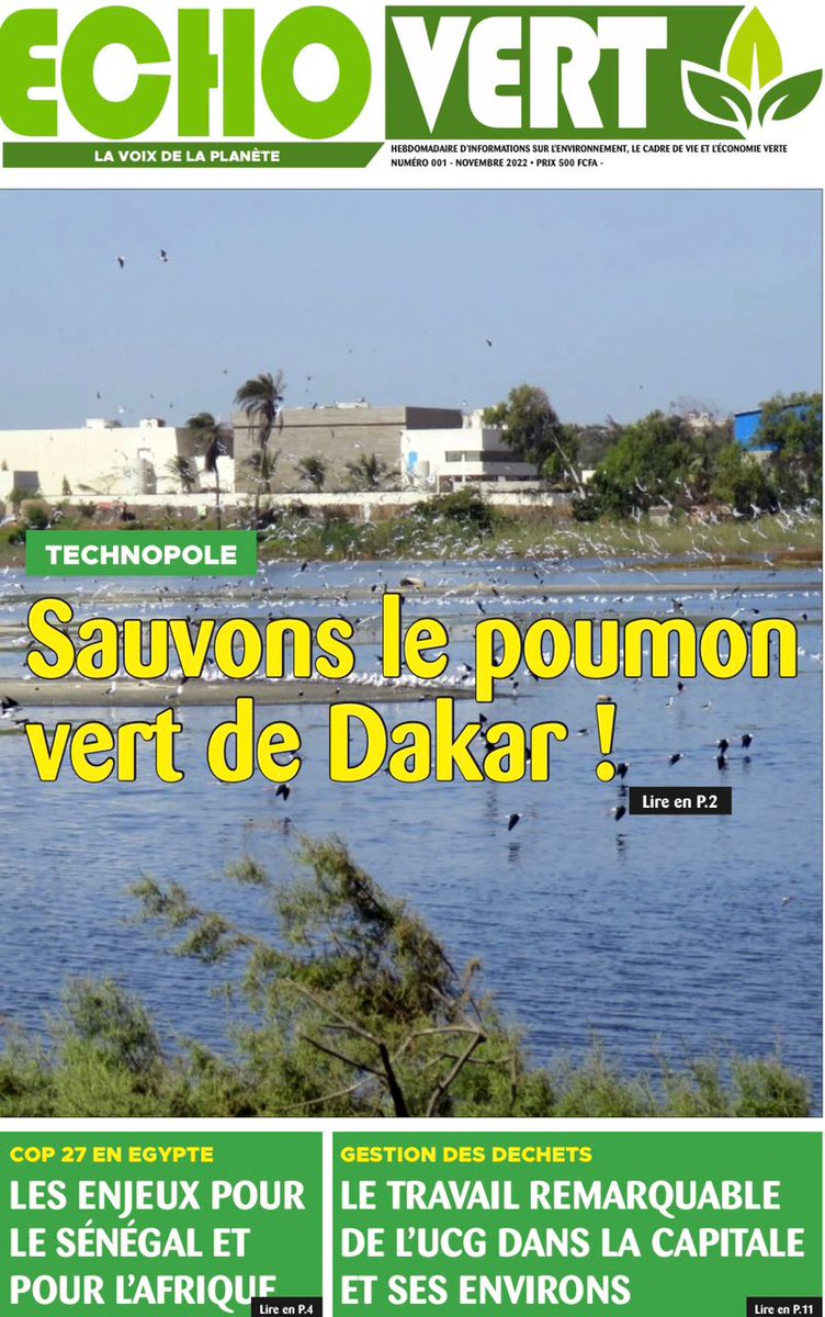 DDiomaye's tweet photo. Pour la parution du 1er numéro de l'hebdomadaire "EchoVert", un journal sur l'environnement, l'éminent journaliste @SeckMaka du quotidien Le Soleil m'a fait l'honneur en dressant mon modeste Potrait à la page 11. 
Je lui dis merci! 
@Oldioseck
#MULHP 
#UCAD 
#Adise #ISE https://t.co/czupgGt5TI