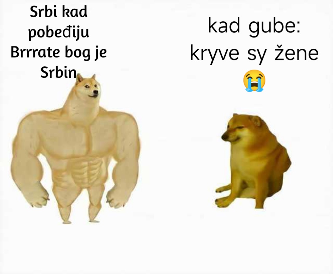 FjHICeLXgAA6CGd?format=jpg&name=medium