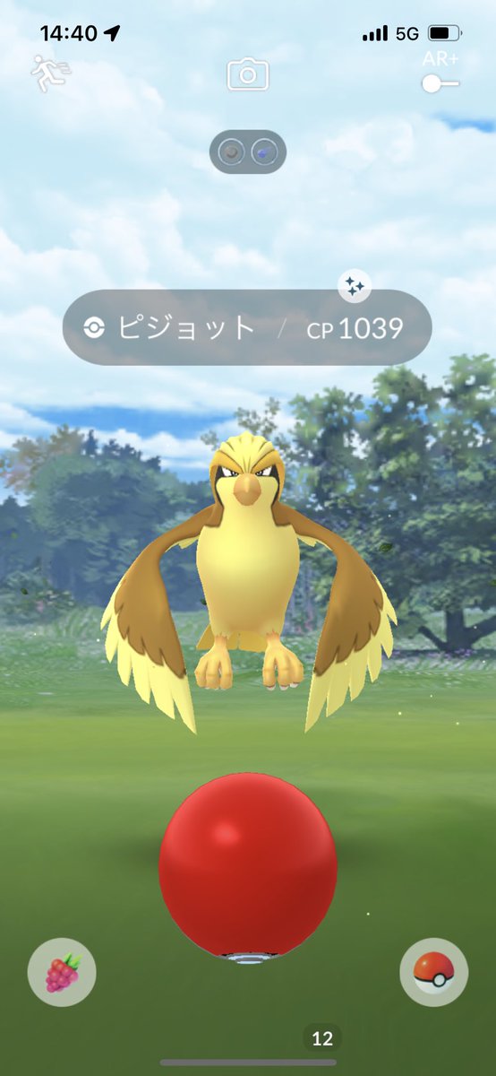 ポケモンgo ピジョットの色違い 入手方法と実装状況 攻略大百科