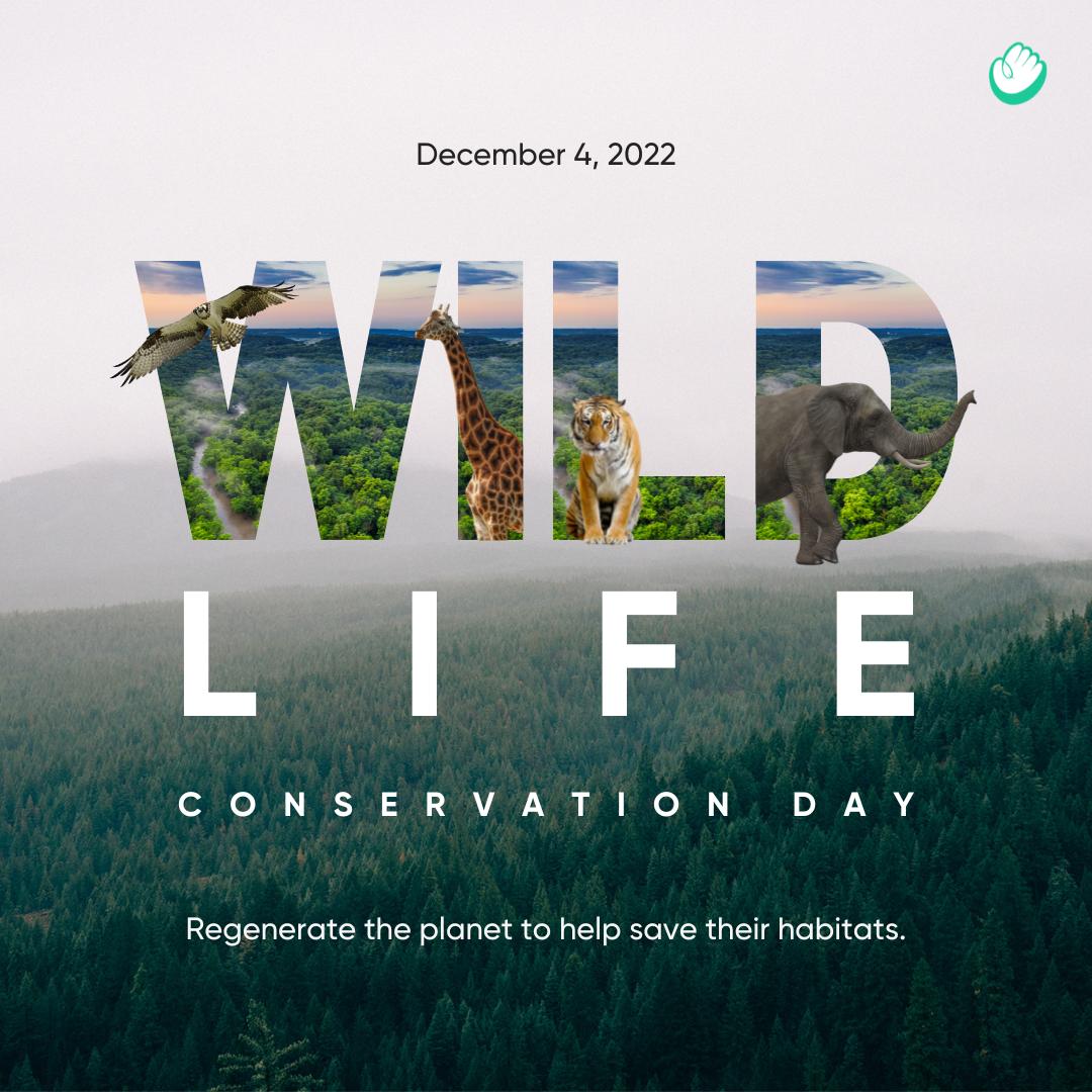 Planting a tree, cleaning rivers, restoring habitats. All these can contribute to conserve wildlife. 

Celebrate Wildlife Conservation Day by regenerating the planet here. 

Learn more on handprint.tech

#wildlife #wildlifeconservation #wildlifeonearth
