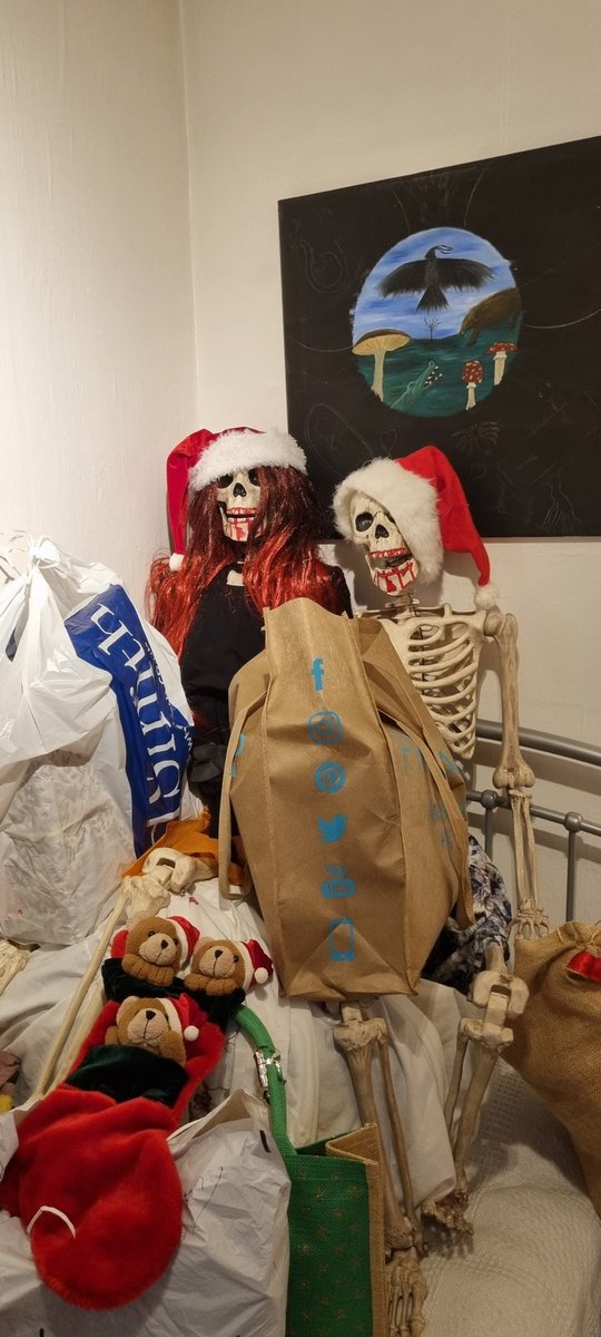 TracyLeeCook1's tweet photo. Getting in the spirit ππβ€οΈ
#creepmas #bones #skeleton #MrBones #MrsBones https://t.co/iVuOhFT98f