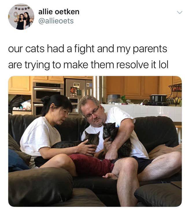WholesomeMemes (@wholesomememe) on Twitter photo 