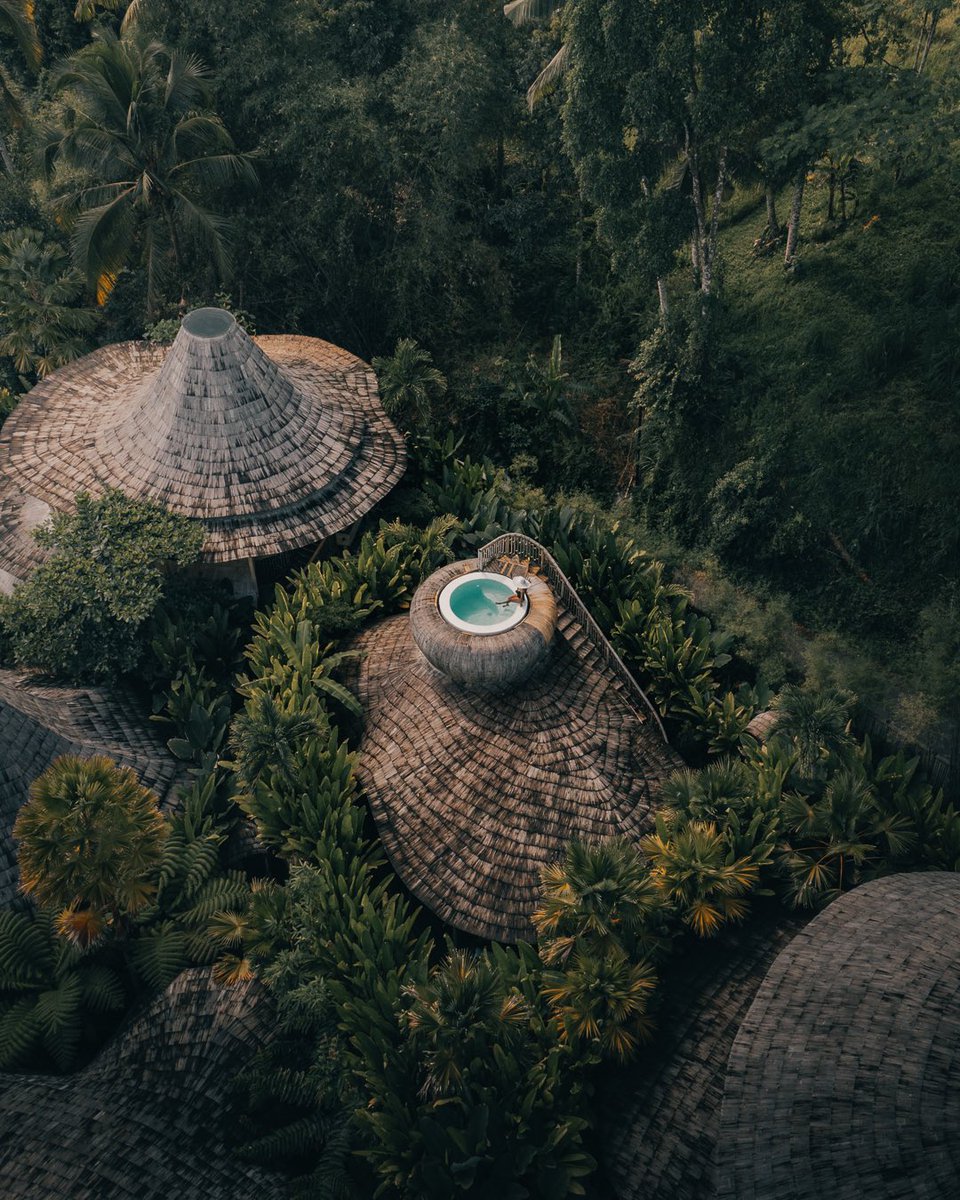 colourwrks's tweet photo. GM from Bali 🌿 https://t.co/T28gN6hSDs