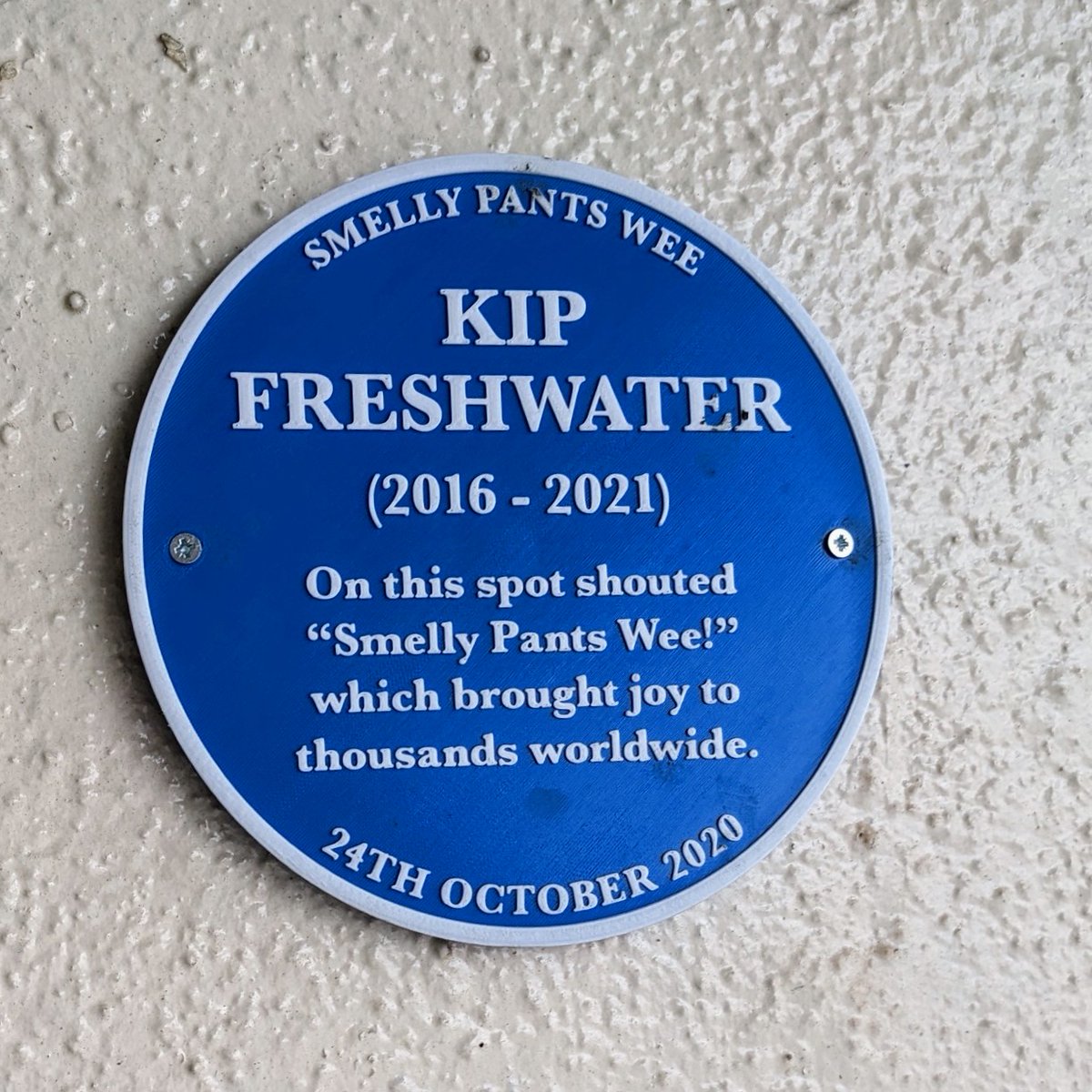 TeamKip #SmellyPantsWee tweet media