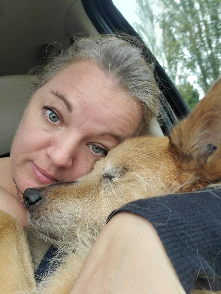 5cornerscreativ's tweet photo. @DadaLives @TheBloggess @txvoodoo Your Dorie looks lovely, I'm so sorry. 

I miss my Jake. https://t.co/MjQF2NVINS