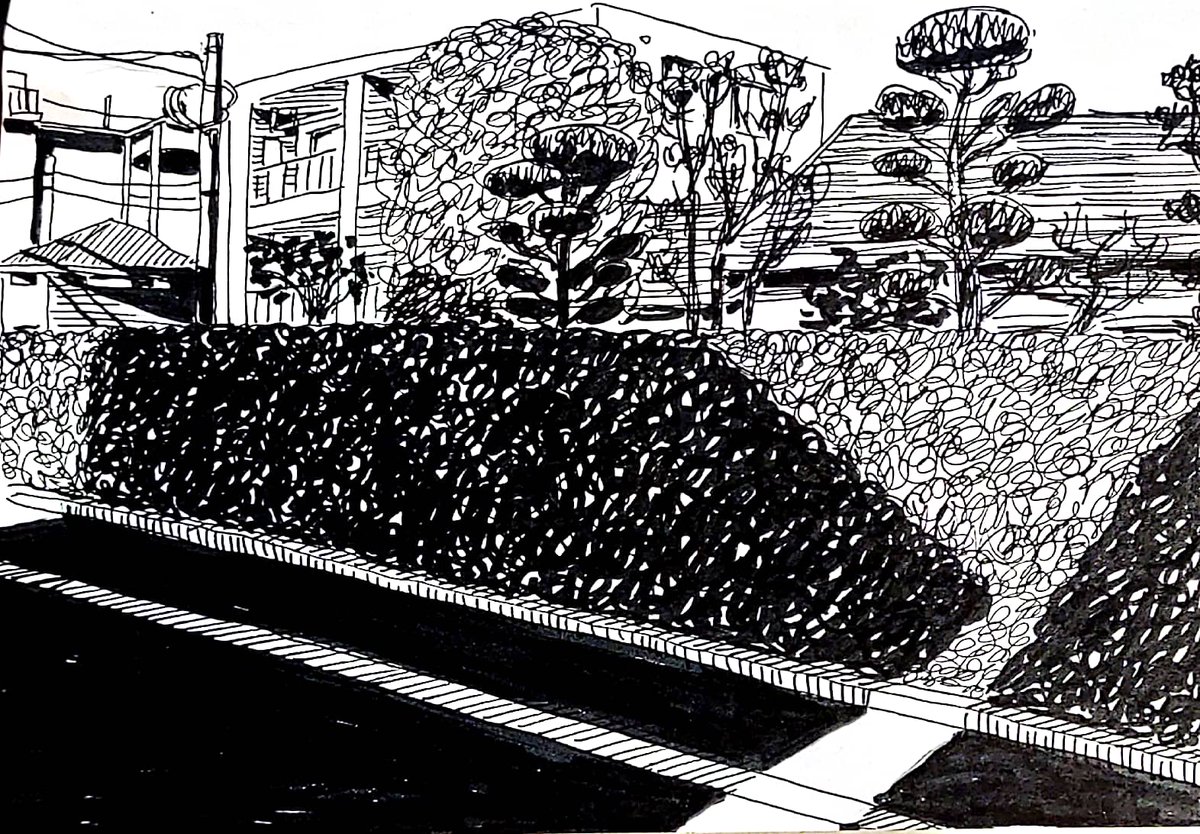 日陰
#illustration 