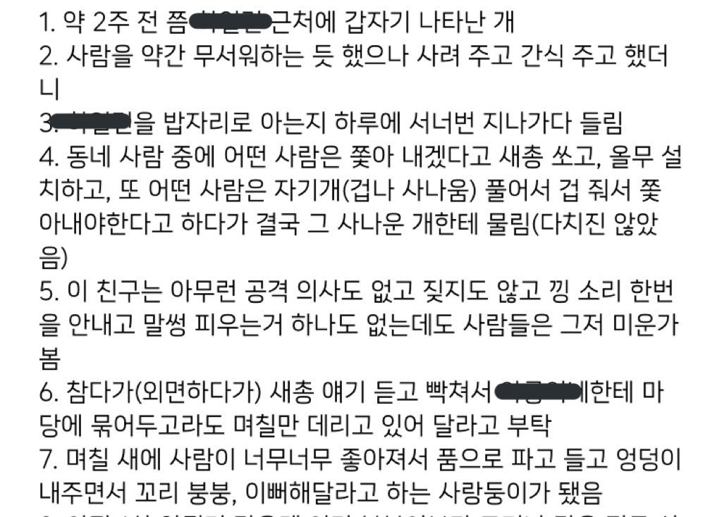 알티부탁드려요!동네사람들이 잡아먹는다고 새총쏘는 유기견입니다. 아직 어린듯하고 발견하신분이 아이 괴롭힘당하는거 보다못해 중성화시켜 쉘터라도 보내주려 합니다. 쉘터가 아닌 가정임보처를 혹시나 구해질까해서 글올려요. 안전하고 깨끗한 쉘터아시는 분도 디엠부탁드립니다. 경기도 여주예요