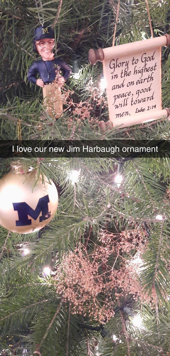 MrsWarberSWCRK's tweet photo. Each year we had a couple more Michigan decorations to our tree. We love our Wolverines! #GoBlue #MichiganFootball https://t.co/wDbU81rUJp