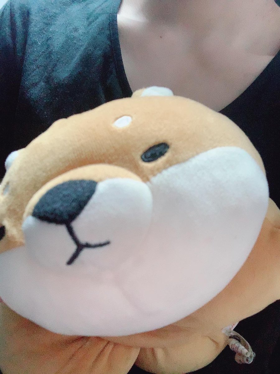 myfavsan's tweet photo. 사니가 좋아하는 캐릭터들 https://t.co/53aPaRLIY2