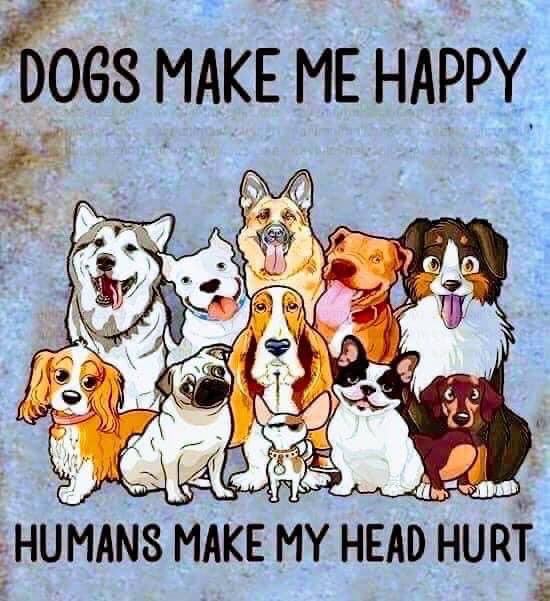 GoddessTales's tweet image. #justdogs