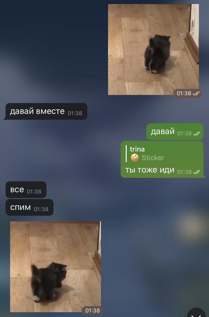 люблю ее за то что у нас одна клетка мозга