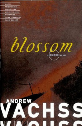 Andrew Vachss tweet media