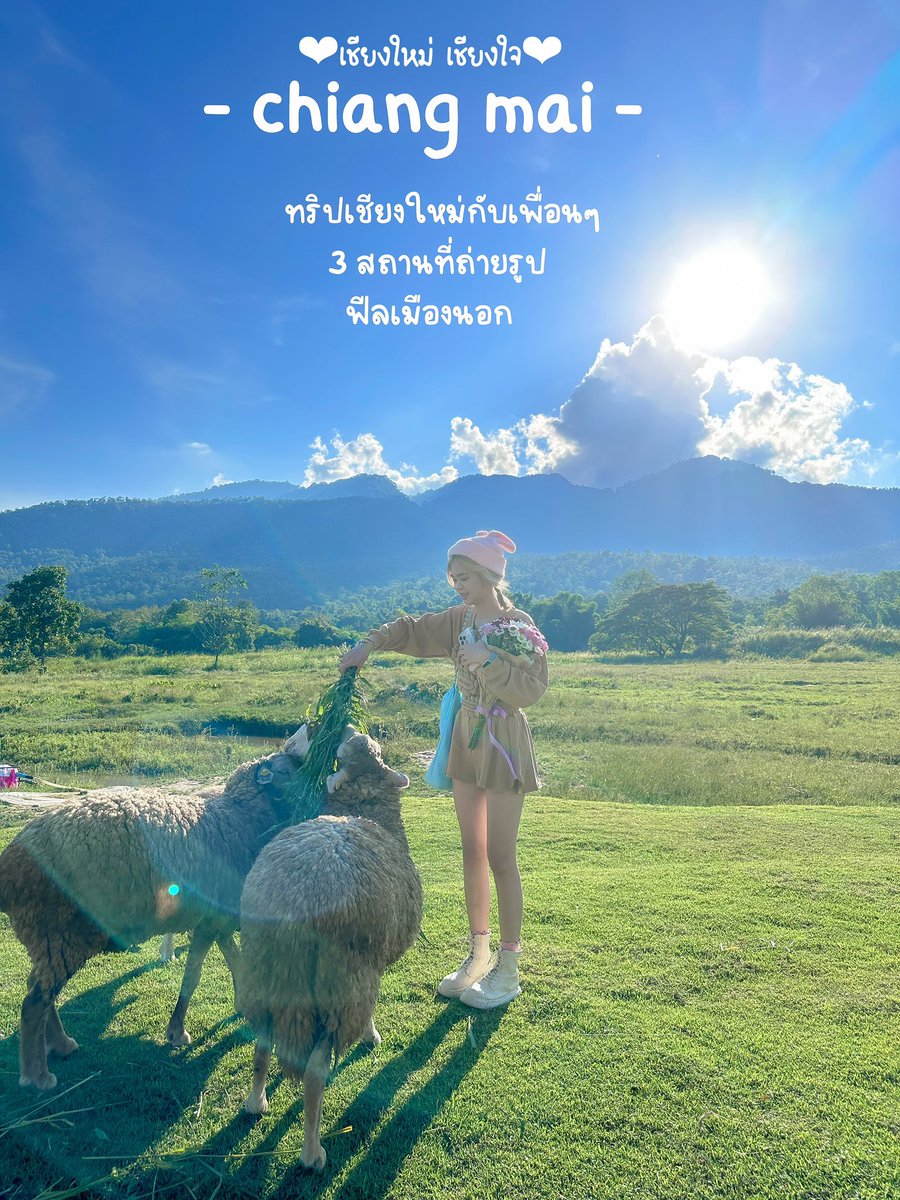 เจ้าหญิงสายรุ้งรีวิว tweet media