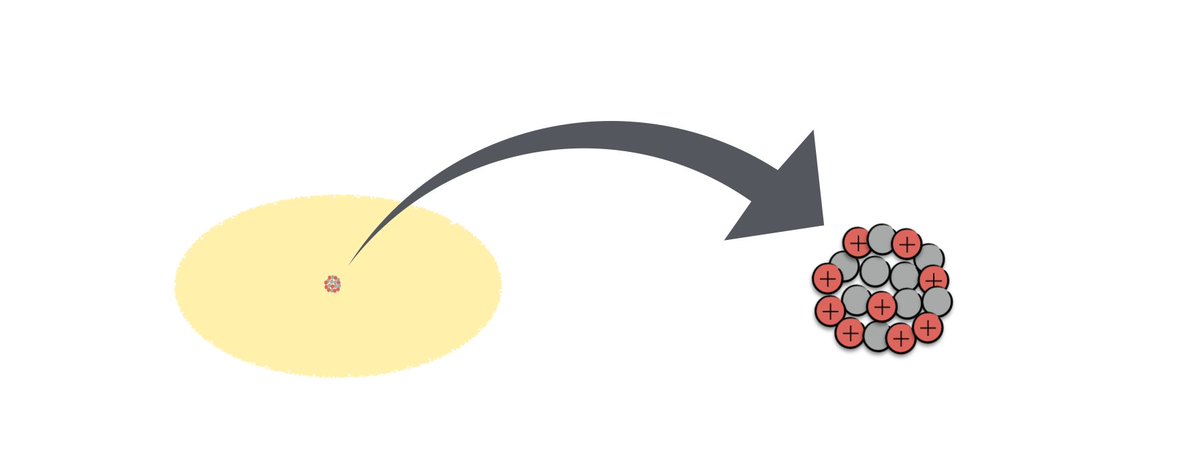 Martin Bauer tweet media