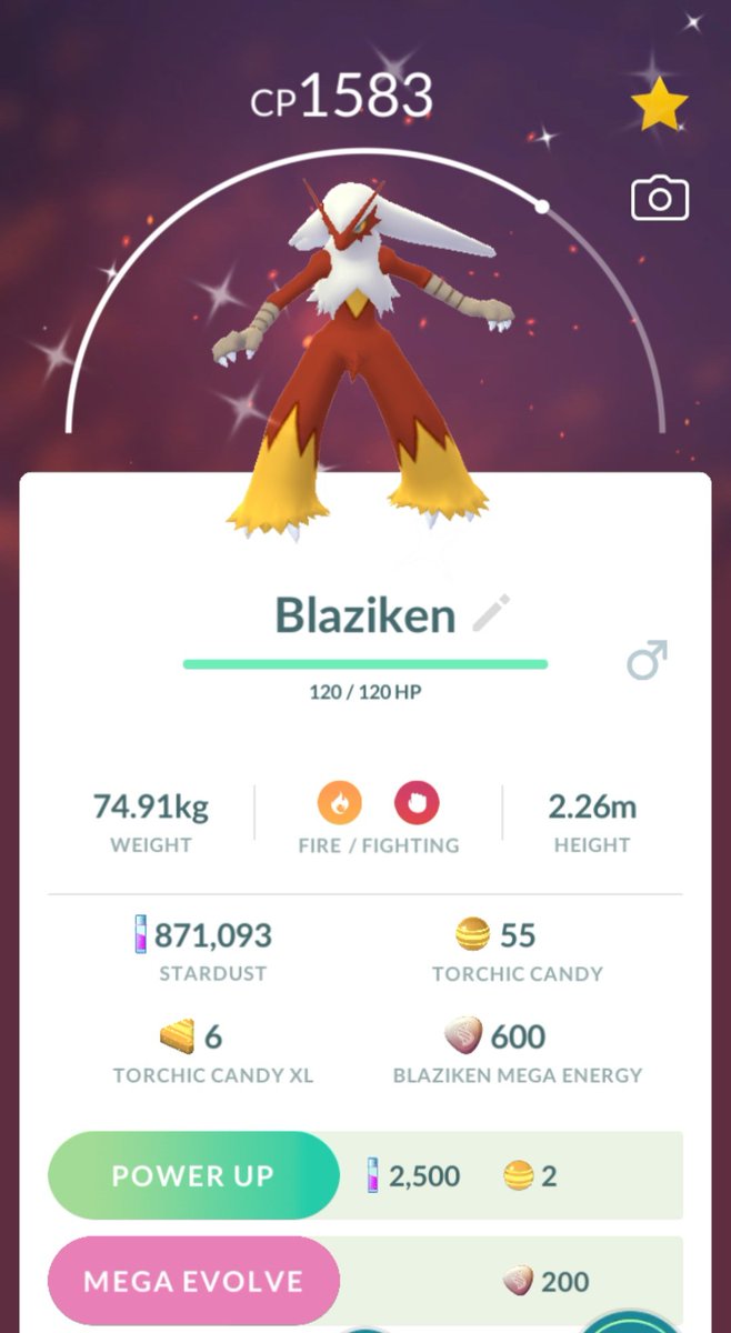 ✨️👍