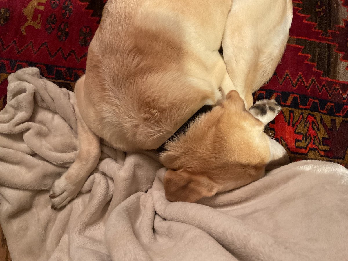 Winifred Robinson tweet media