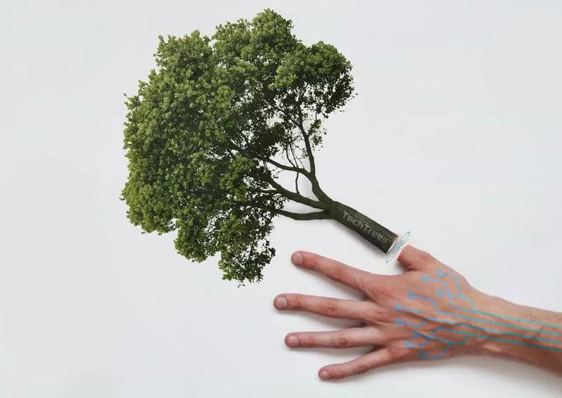VCChinese's tweet image. Treat kindly the trees is to treat kindly oneself.
#TechTrees #SDG #Web3
