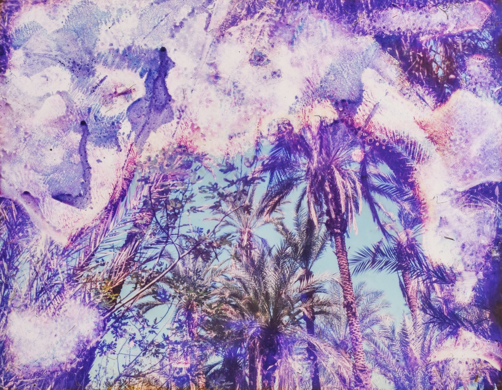 The online exhibition Foam Talent Digital combines artistic context with educational perspectives. New portfolios by talents Laura Chen, Seif Kousmate, Ange-Frédéric Koffi and Linn Phyllis Seeger have just been added online. See here: go.foam.org/digital22

© Seif Kousmate