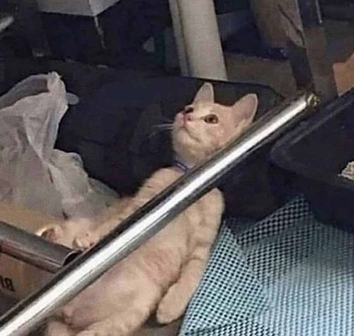 phlp124's tweet photo. me rn https://t.co/MVqkeL11v4