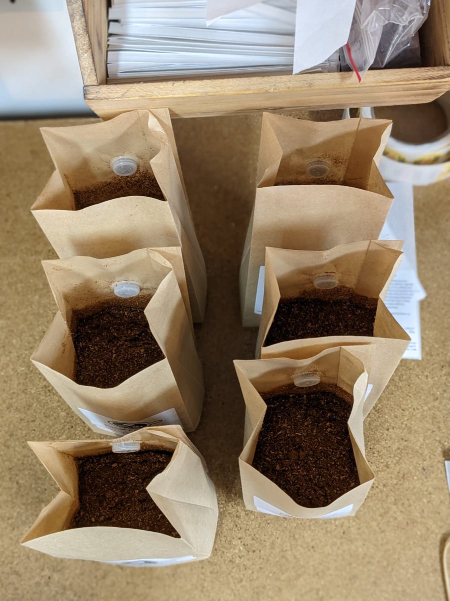 Freshly Roasted Coffee Beans for Business. Perfect for bean-to-cup or filter machines, delivered straight to your workplace. You will also be helping us to make a difference to schools and community projects.
<a href="/NWalesSocial/">#NorthWalesSocial ⬆️🏴󠁧󠁢󠁷󠁬󠁳󠁿🤝</a> <a href="/HaltonHour/">#HaltonHour Community Networking Thursdays 8-9pm</a>