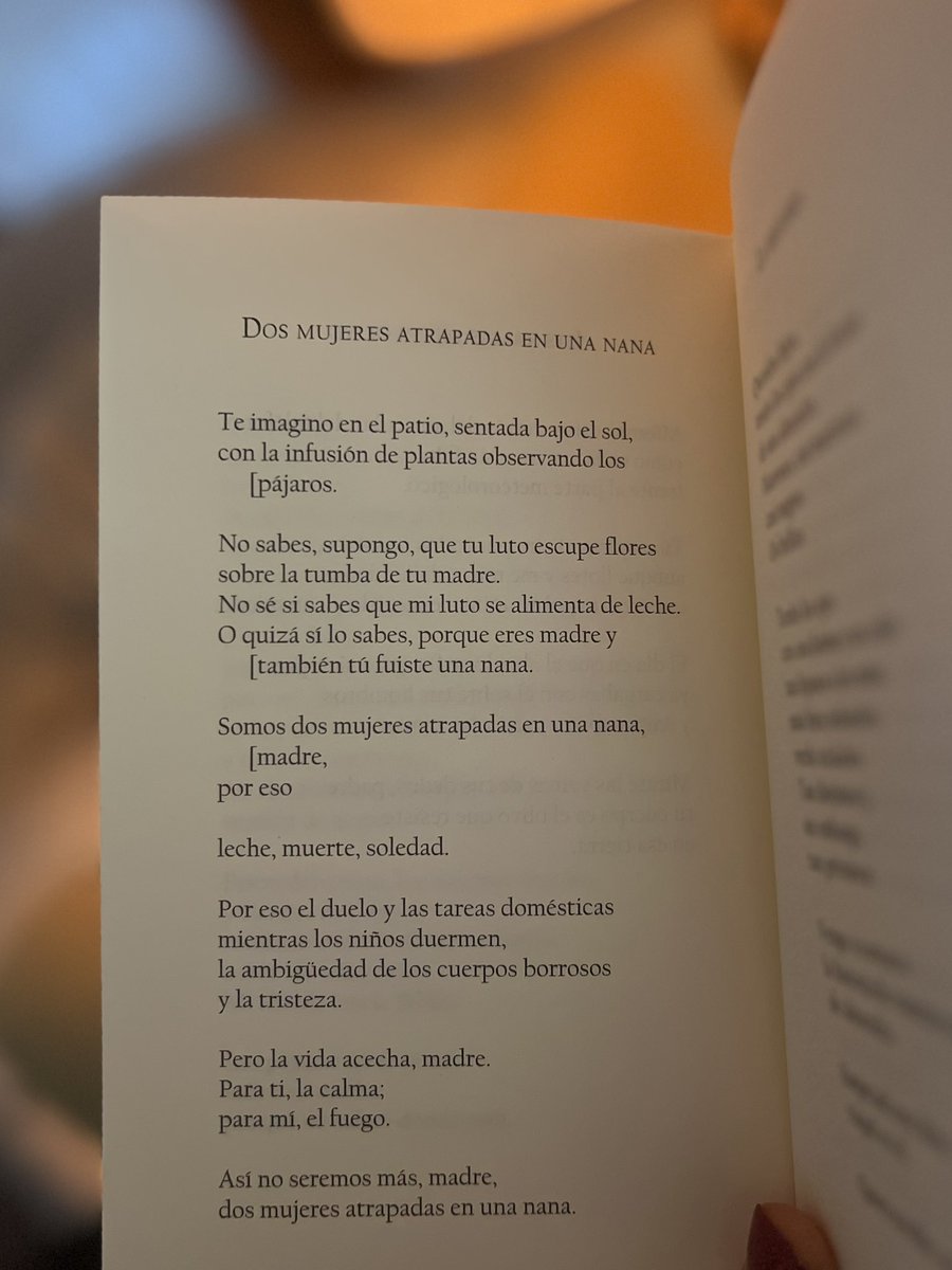Mundo imaginário No fim das trevas, Vemos mais um dia nascendo. Um dia  lindo, com flores multicoloridas, Árvores que sorriem, um córrego de  chocolate, O sol é mais brilhante, e as chuvas, image size:900x1200
