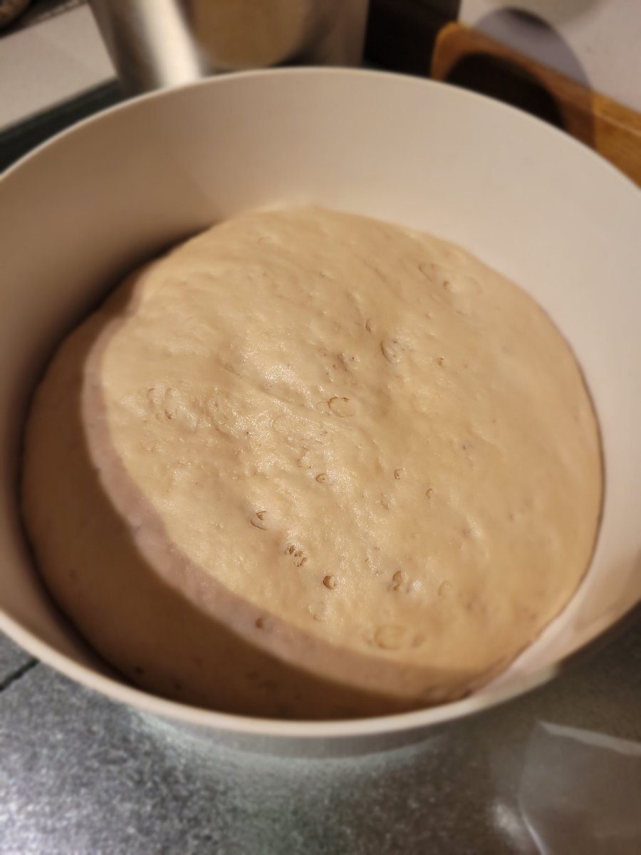 _Midnightcrab_'s tweet photo. Hübsch, oder?
Darf jetzt bis Mittag bei Zimmertemperatur weiter schlafen.
#Pizzateig https://t.co/Z33yfSMqwS