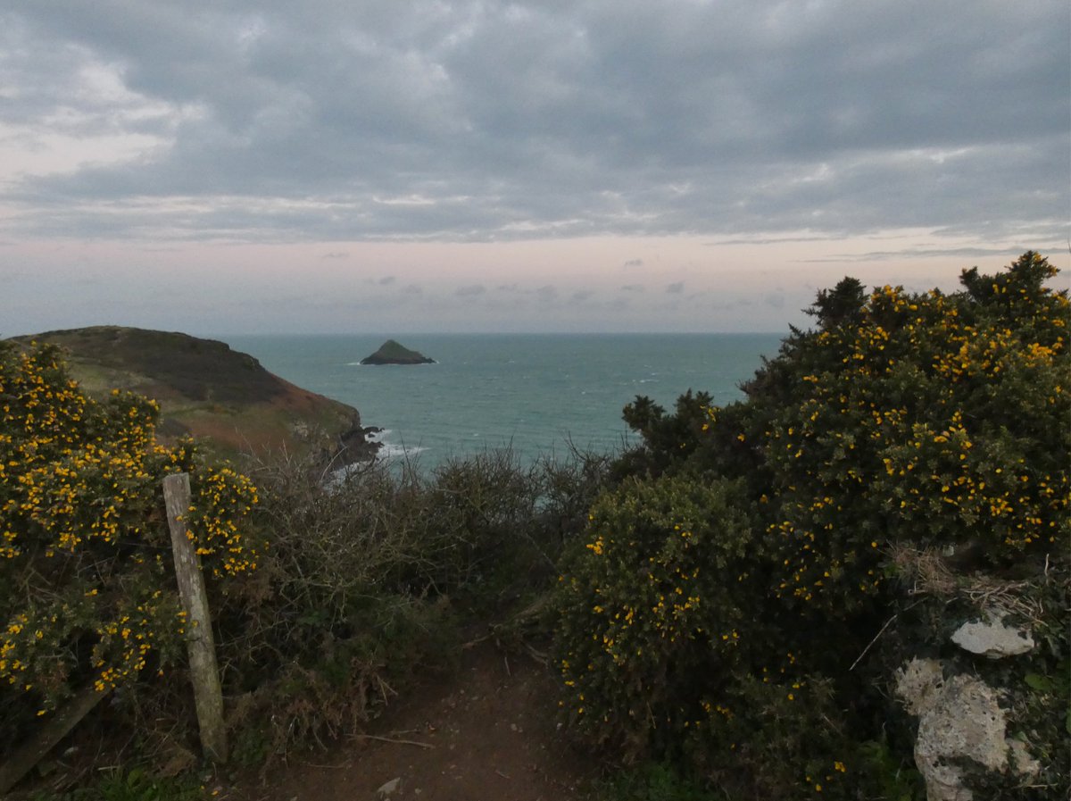 CliffsideKatie's tweet photo. Oooof, bitingly cold. π¨ #cliffpath https://t.co/lgielC8bB8