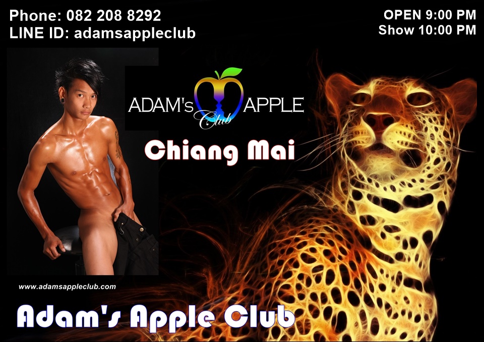 gaybarchiangmai's tweet photo. Boy Bar Chiang Mai Adam's Apple Club
OPEN every Night 9:00 PM and our amazing unique Show START every Night 10:00 PM.
Phone: 082 208 8292
LINE ID: adamsappleclub
DREAMS come true
#Showbar #Nightlife #HostBar #GayBar #ChiangMai #Nightclub #AsianBoy #gaybarchiangmai #ladyboyshow https://t.co/wofQGRuTkZ