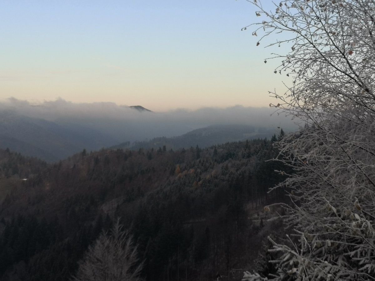 FewoTriberg's tweet photo. Guten Morgen liebe Timeline, ich wünsche Euch einen wundervollen 2. Advent! 
So sieht es aus, wenn der Schwarzwald erwacht: https://t.co/tIcZAOWhRd