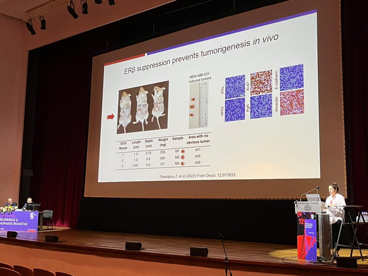 piperigkou's tweet photo. Always happy to share data on current research in such high-level meetings!

📸 from today's talk in 72nd Annual Conference of the @HSBMB_official at @upatras 
#HSBMB_Patras_2022 https://t.co/spNSRxxt1t