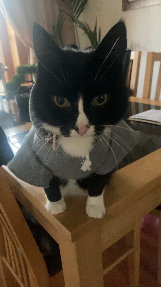 DownloadFolder's tweet image. NOOOO