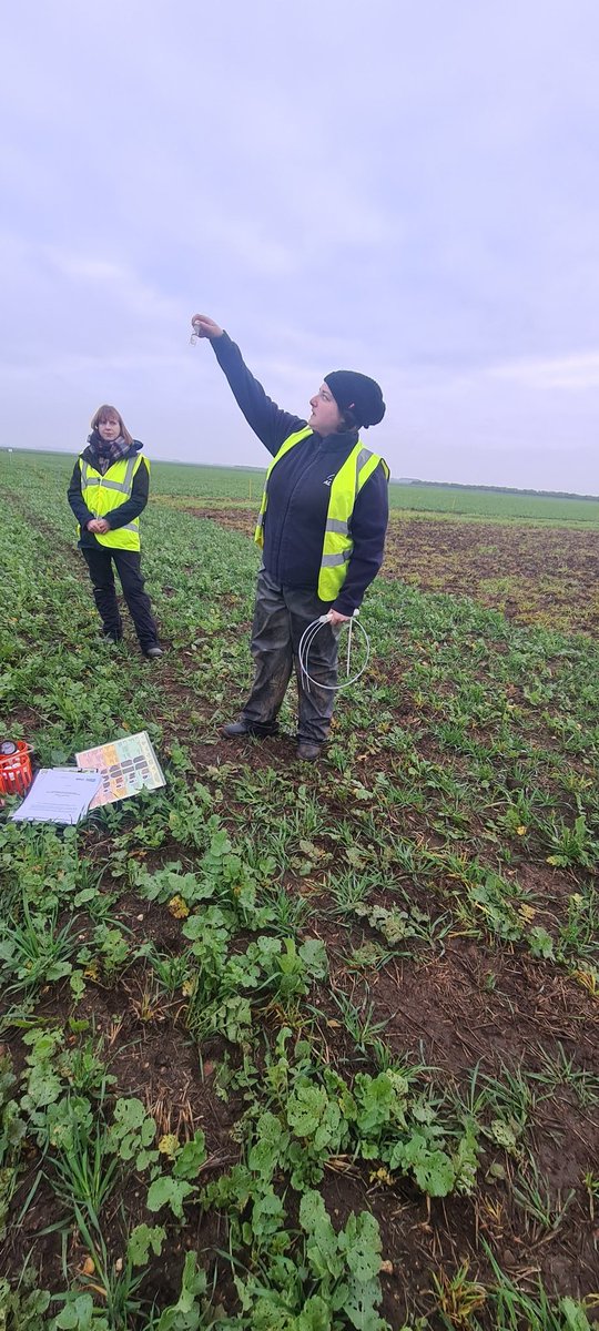watkinsamy10's tweet photo. Looking back at the ADAS #covercrop day last week, kindly hosted by @DysonFarming. Some good key learnings to take away 👇 https://t.co/CBaPUQJ5RM