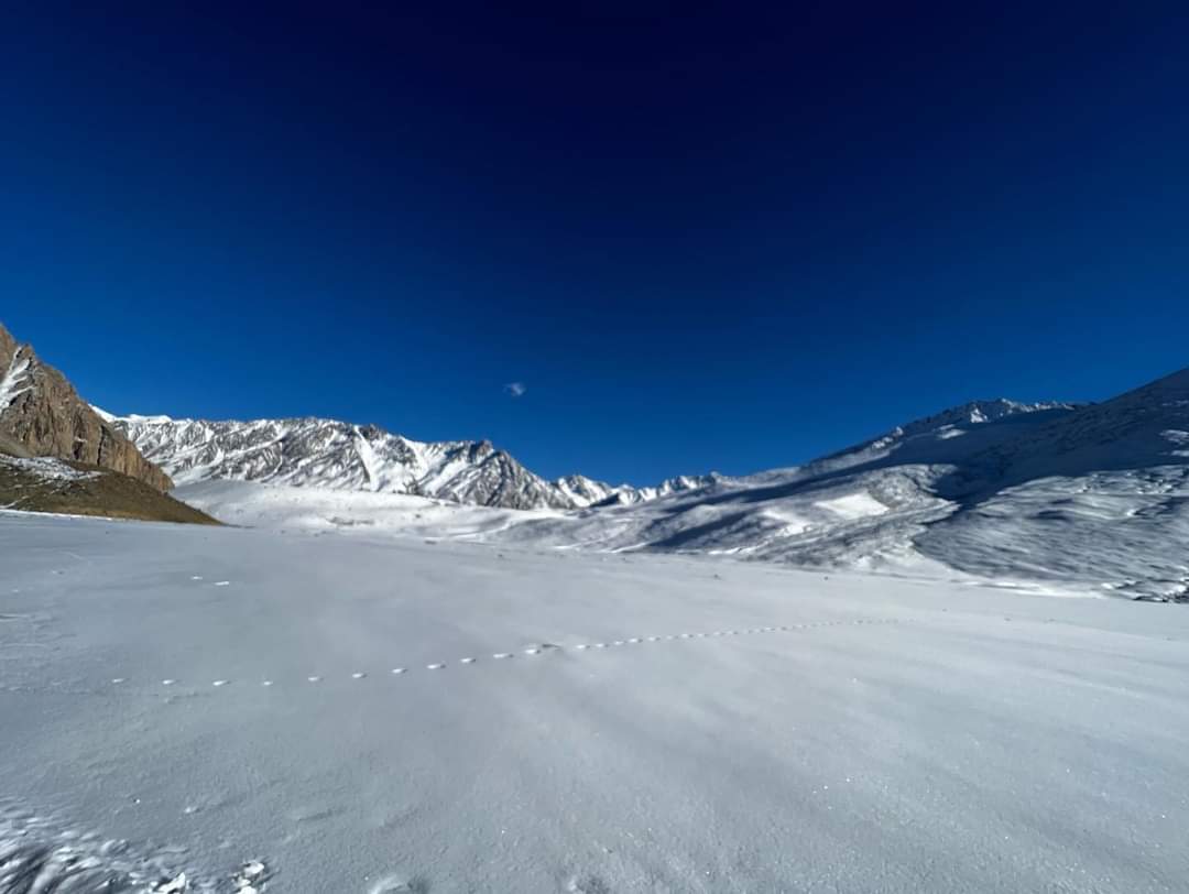 hunzaexplorers's tweet photo. Shandur Pass, Gilgit-Baltistan

#highpass #snowfall #shandurpass #travelpakistan #hunzaexplorers #travelphotos #karimtajik #Pakistan #GilgitBaltistan https://t.co/wh0n7DeiNU