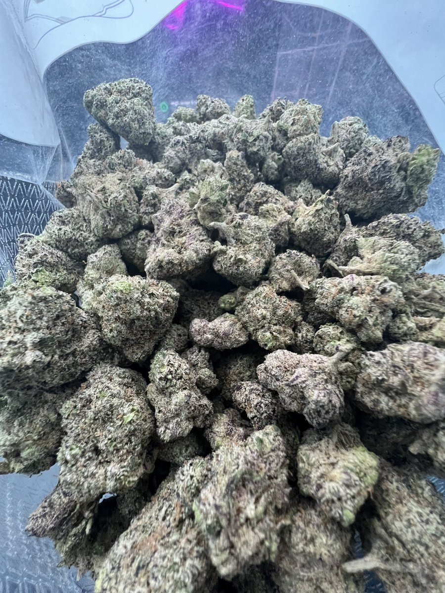 1drodash's tweet photo. Blue@nerdz so gassy ☃️🦨 Houston plug https://t.co/rY4YpOyWZV