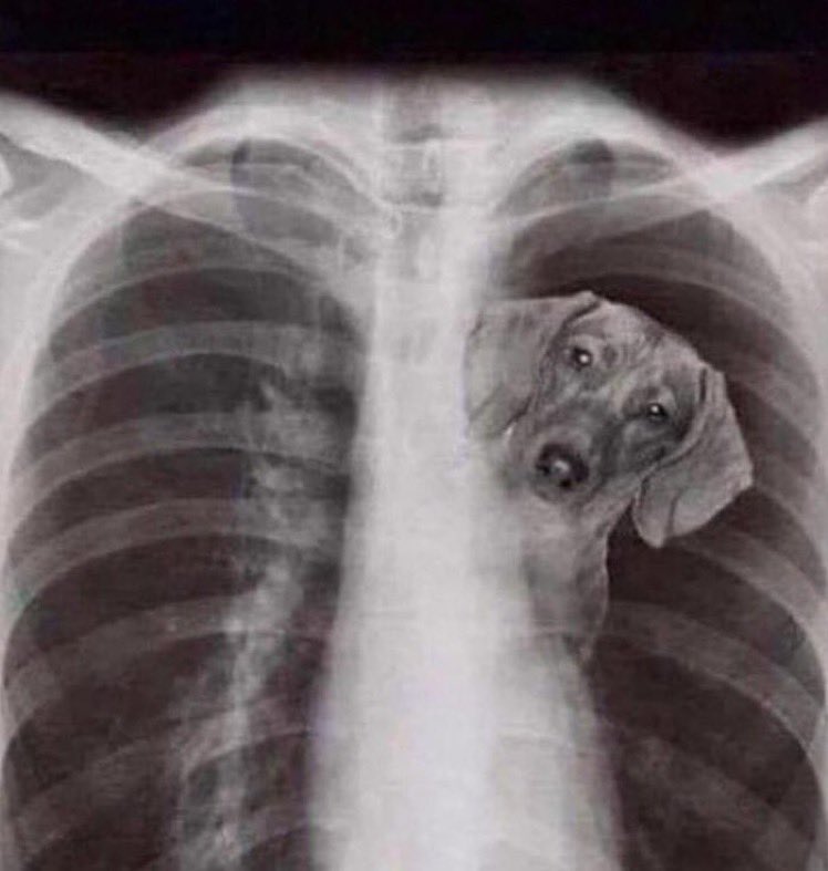 Congratulations to Edna DE Christopher Robinson the winner of this week's Matt Stepp He Got That Dog In Him Award. Congratulations Christopher you have that dog in you!! #txhsfb <a href="/dctf/">Dave Campbell's — TexasFootball.com</a>